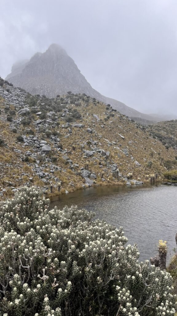 Laguna Pintada surrounded by páramo vegetation and mist in El Cocuy National Park, Colombian Andes